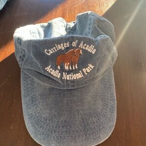 Blue Carriages of Acadia Visor